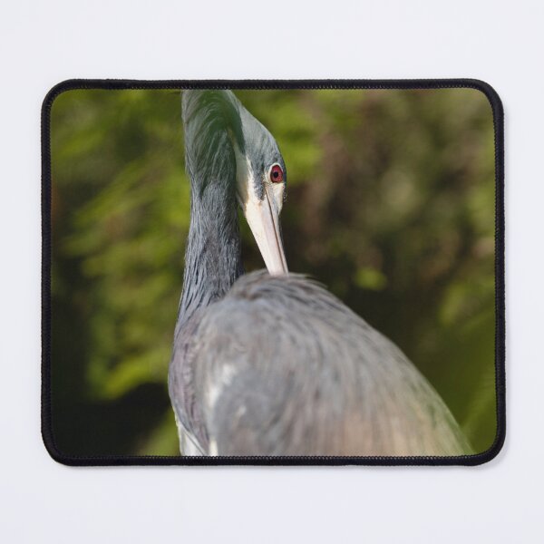 Item preview, A Tricolored Heron designed and sold by HarpSnaps.