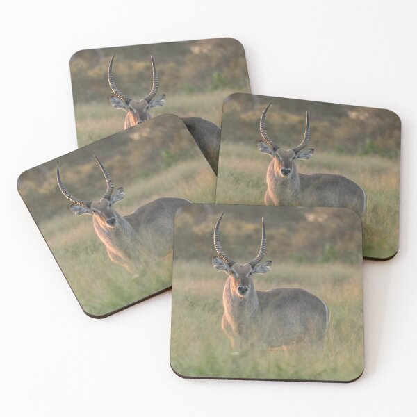 Item preview, Waterbuck in Golden Light – African Antelope Portrait designed and sold by DavideAntoniani.