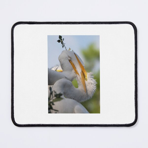 Item preview, Great Egret feeding time designed and sold by HarpSnaps.