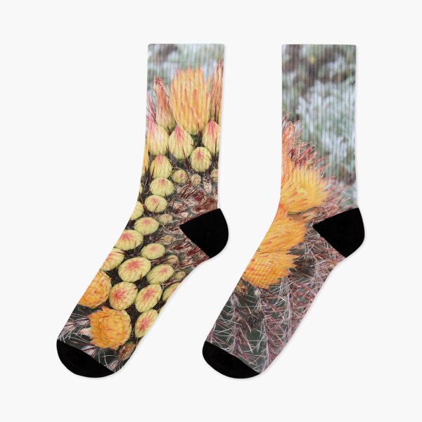 Item preview, Splendid Flowing Barrel Cactus designed and sold by simonjayphotos.