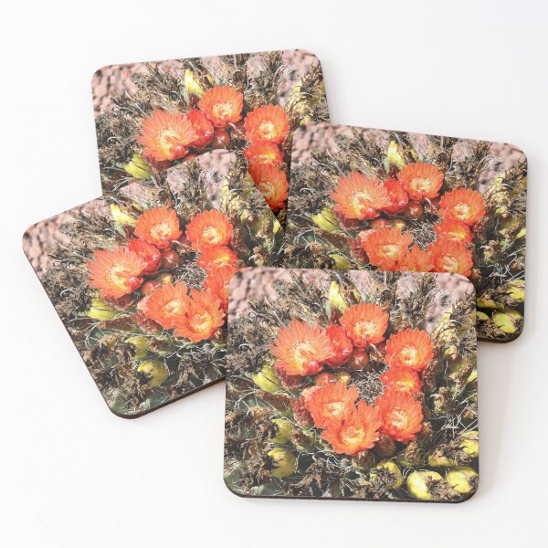 Item preview, Delightful Barrel Cactus Flowers designed and sold by simonjayphotos.