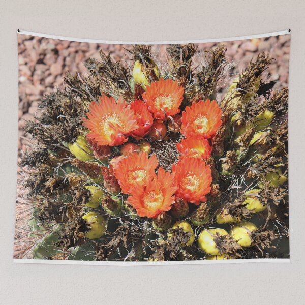 Item preview, Delightful Barrel Cactus Flowers designed and sold by simonjayphotos.