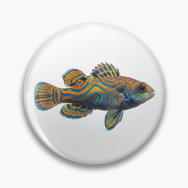 Item preview, Mandarin Dragonet: The Tropical Work of Art designed and sold by KnlDsgn.