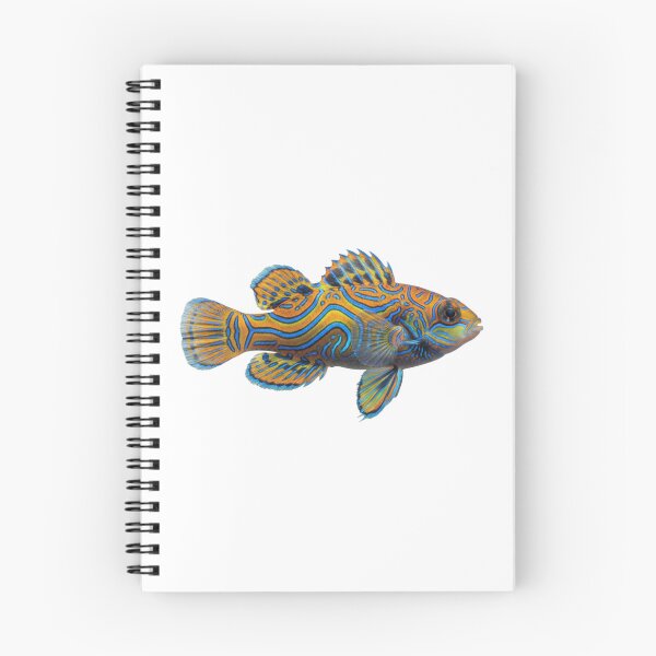 Item preview, Mandarin Dragonet: The Tropical Work of Art designed and sold by KnlDsgn.