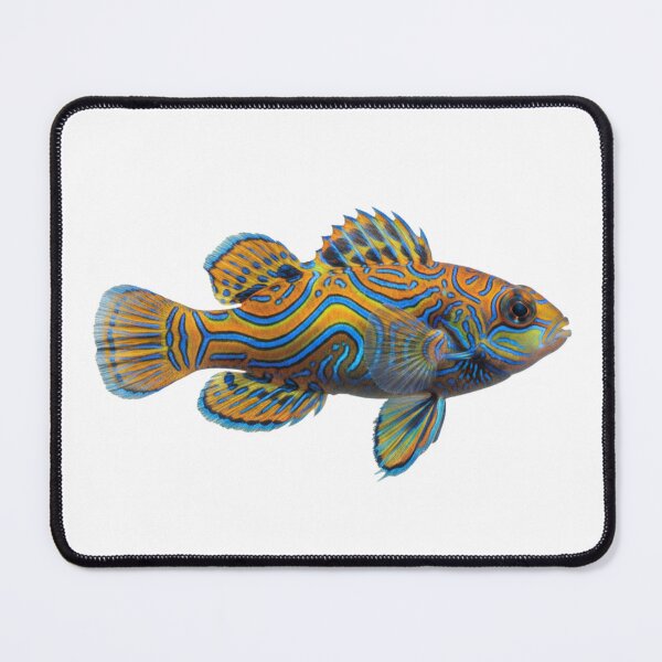 Item preview, Mandarin Dragonet: The Tropical Work of Art designed and sold by KnlDsgn.