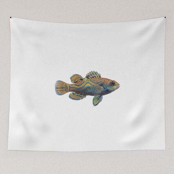 Item preview, Mandarin Dragonet: The Tropical Work of Art designed and sold by KnlDsgn.