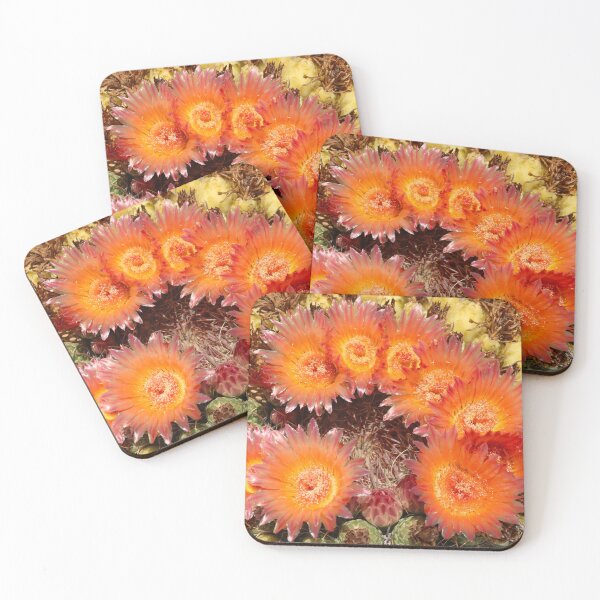 Item preview, Stunning Barrel Cactus Flowers designed and sold by simonjayphotos.