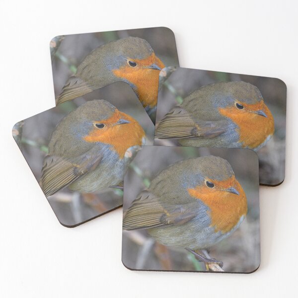 Item preview, Fluffed Up Robin Redbreast designed and sold by Violaman.