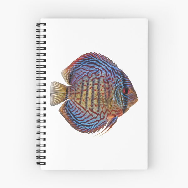 Item preview, Discus fish: The king disc of the Amazon designed and sold by KnlDsgn.