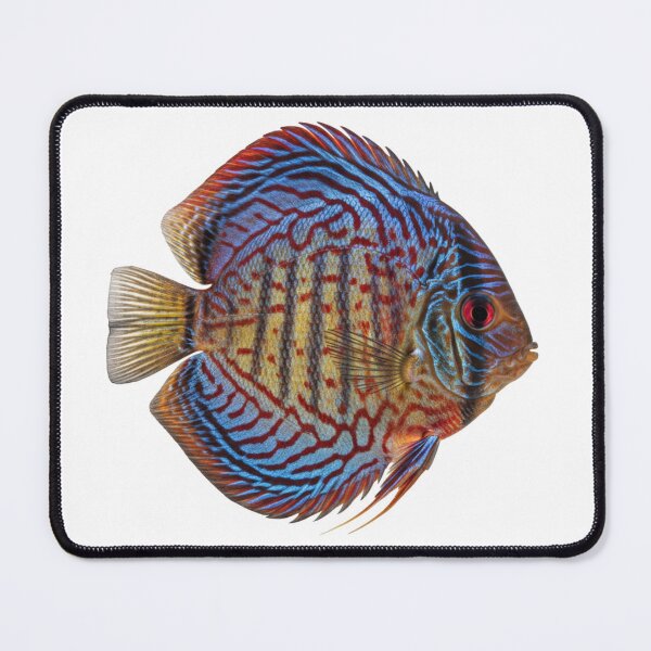 Item preview, Discus fish: The king disc of the Amazon designed and sold by KnlDsgn.