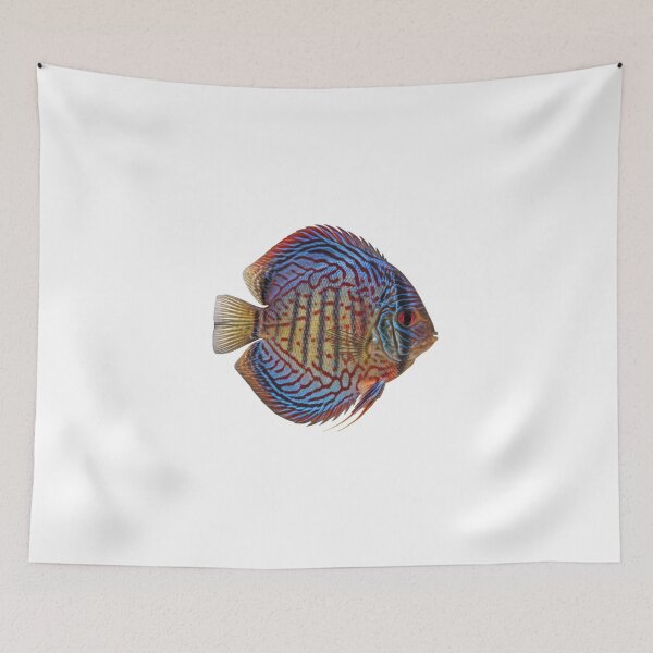 Item preview, Discus fish: The king disc of the Amazon designed and sold by KnlDsgn.