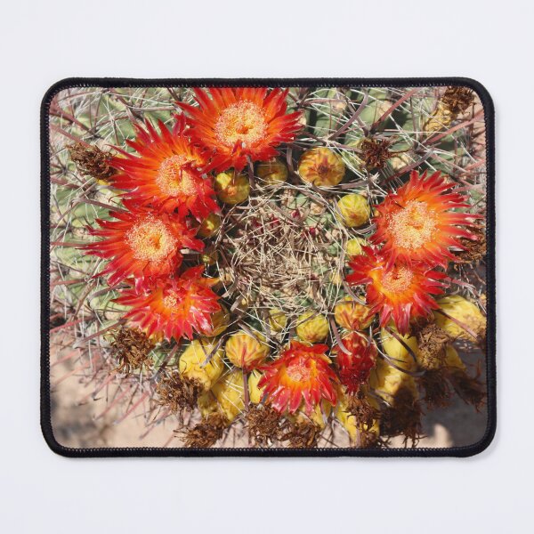 Item preview, Lovely Cactus Flowers designed and sold by simonjayphotos.