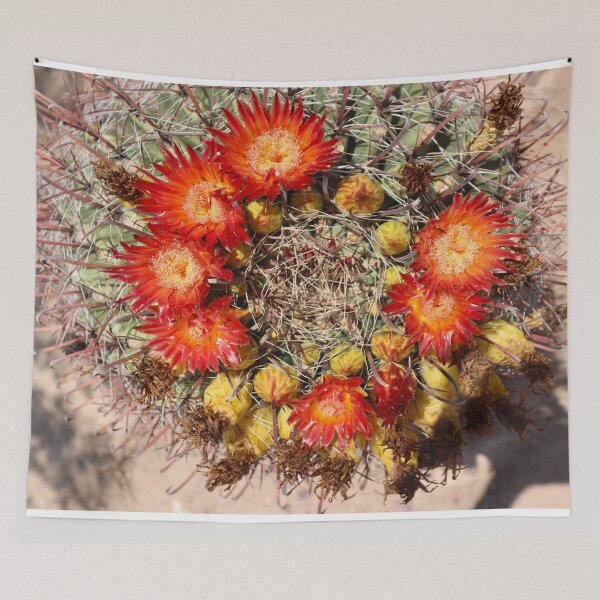 Item preview, Lovely Cactus Flowers designed and sold by simonjayphotos.