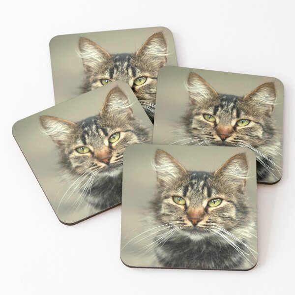Item preview, Portrait of cute street cat designed and sold by olena2552.