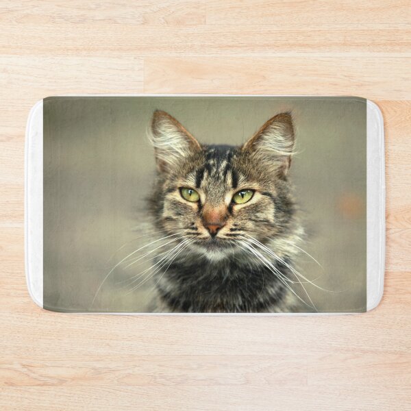 Item preview, Portrait of cute street cat designed and sold by olena2552.