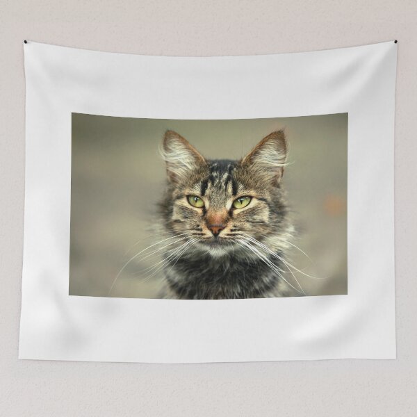 Item preview, Portrait of cute street cat designed and sold by olena2552.
