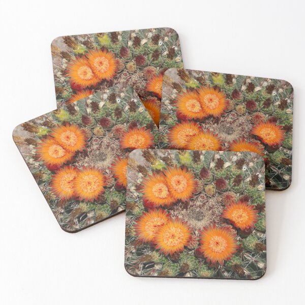 Item preview, Lovely Barrel Cactus Flowers designed and sold by simonjayphotos.