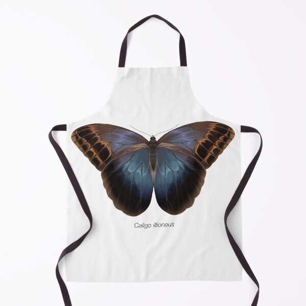 Item preview, Caligo illioneus, labeled designed and sold by marinemolecules.