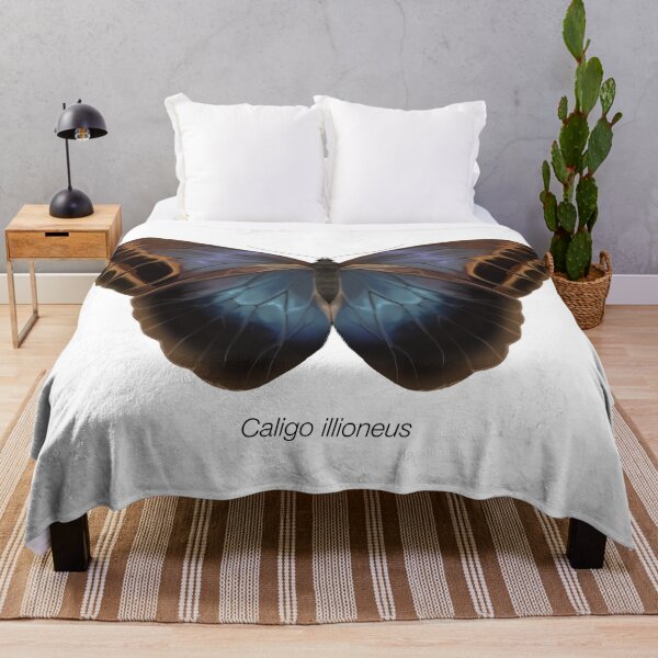 Item preview, Caligo illioneus, labeled designed and sold by marinemolecules.