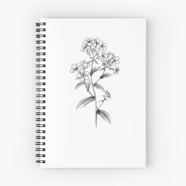 Item preview, Annual Phlox  designed and sold by AnOffbeatArtist.