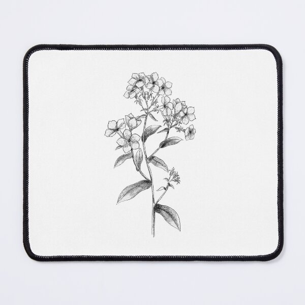 Item preview, Annual Phlox  designed and sold by AnOffbeatArtist.