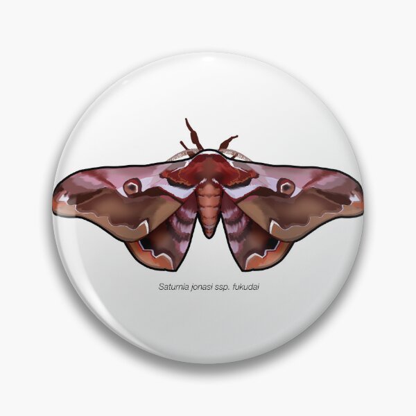 Item preview, Saturnia jonasi ssp. fukudai, labeled designed and sold by marinemolecules.