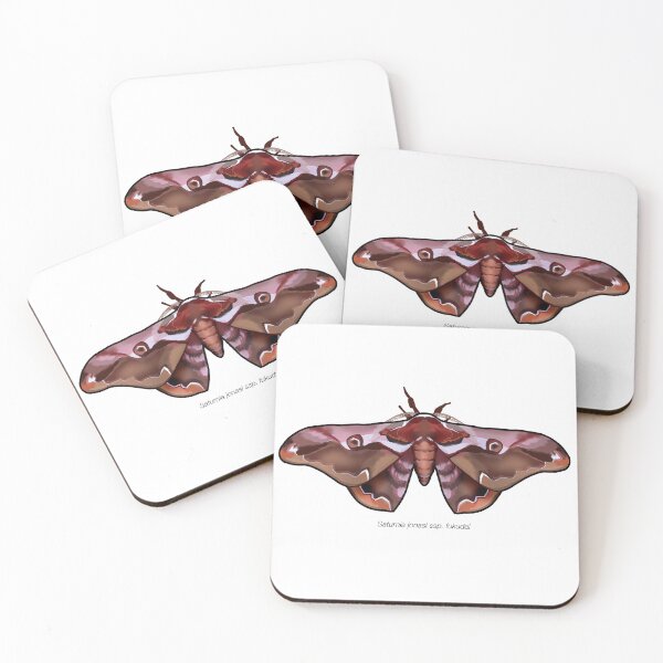 Item preview, Saturnia jonasi ssp. fukudai, labeled designed and sold by marinemolecules.
