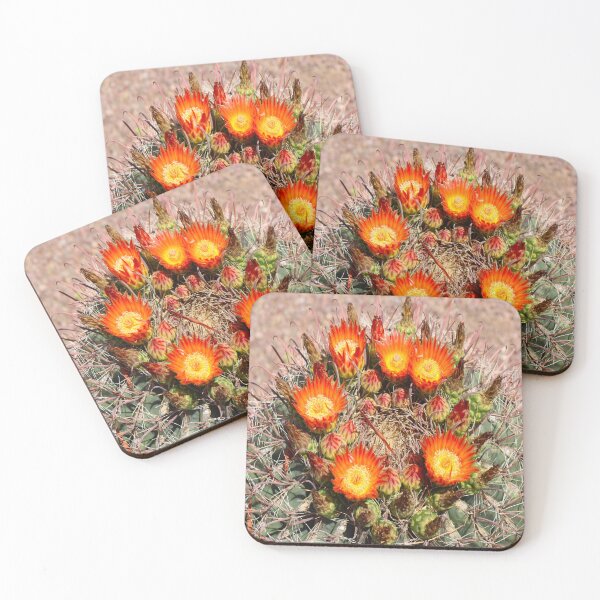 Item preview, Exquisite Barrel Cactus Flowers designed and sold by simonjayphotos.
