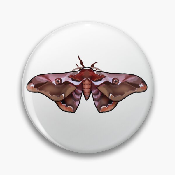 Item preview, Saturnia jonasi ssp. fukudai designed and sold by marinemolecules.