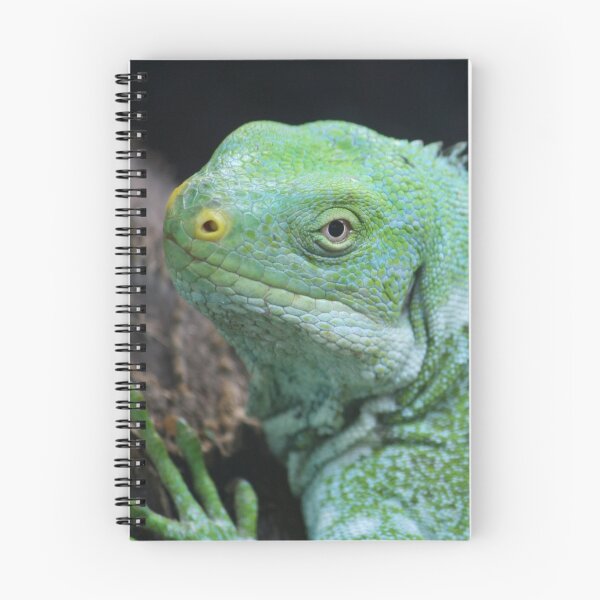Item preview, Fijian Crested Iguana designed and sold by LeanneAllen.