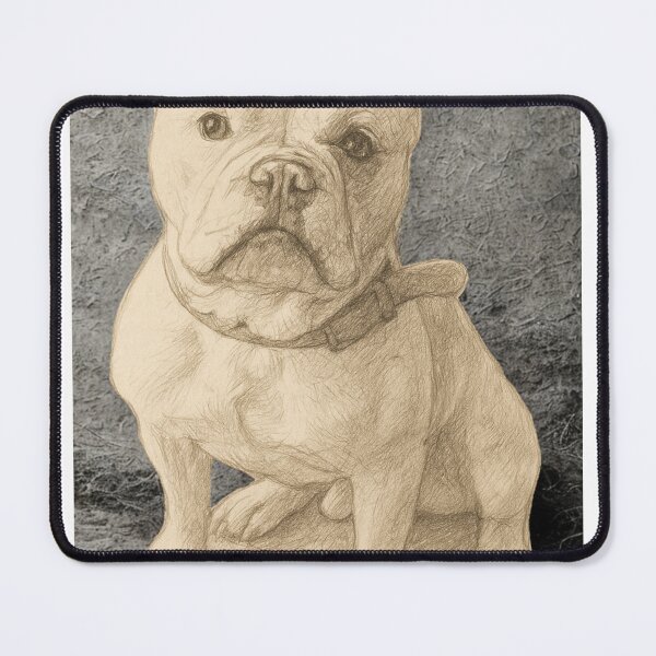 Item preview, The Great Bambino designed and sold by FurrBallzCo.