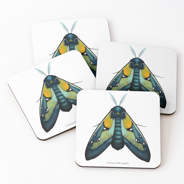 Item preview, Chrysocale regalis, labeled designed and sold by marinemolecules.