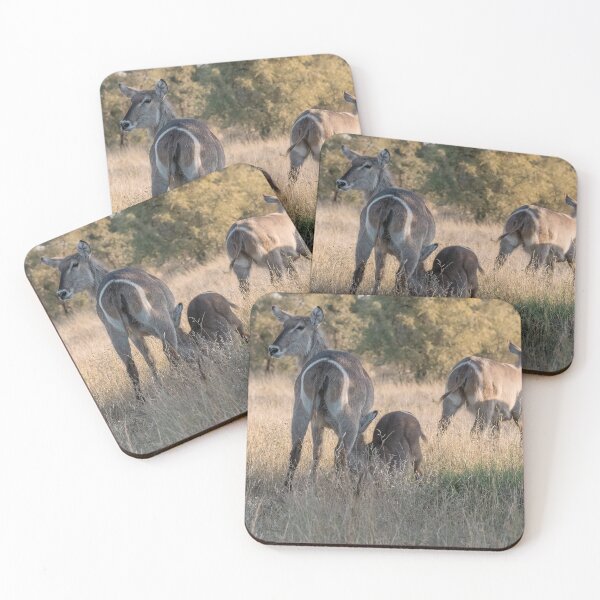Item preview, Tender Moment – Waterbuck Mother Nursing Her Calf designed and sold by DavideAntoniani.