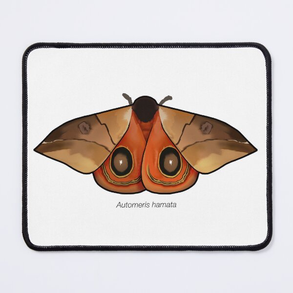 Item preview, Automeris hamata, labeled designed and sold by marinemolecules.
