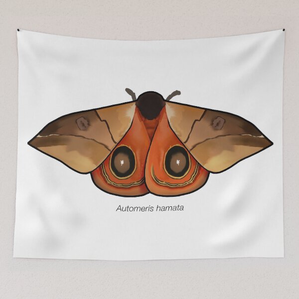 Item preview, Automeris hamata, labeled designed and sold by marinemolecules.