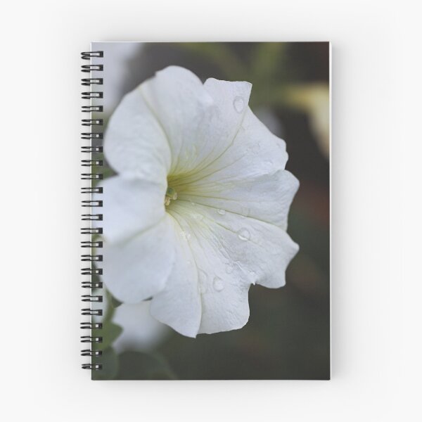 Item preview, Sweet Petunia Flower designed and sold by Joy Watson - Natural Light Photography .