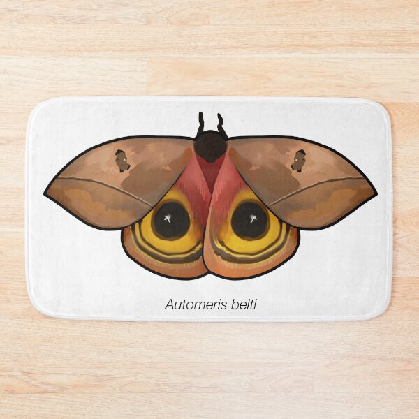 Item preview, Automeris belti, labeled designed and sold by marinemolecules.