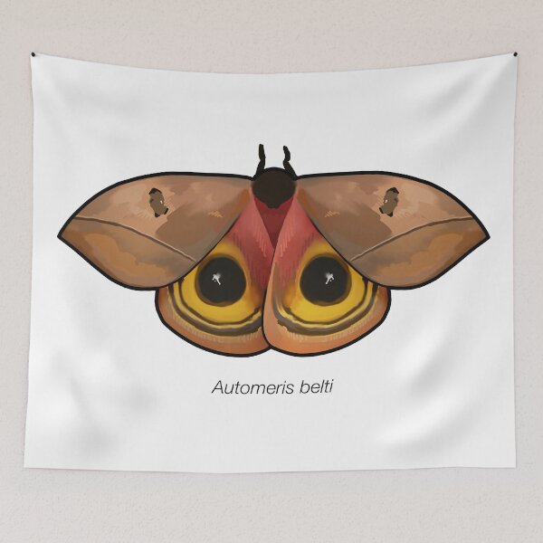 Item preview, Automeris belti, labeled designed and sold by marinemolecules.