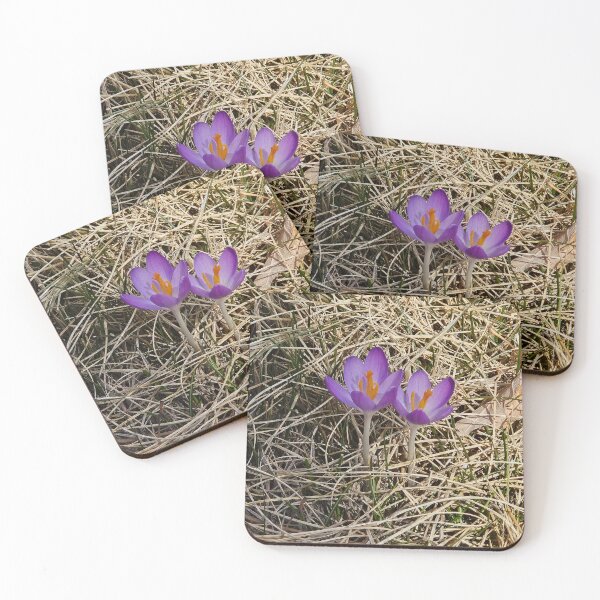 Item preview, Finding beauty anywhere. designed and sold by Strobie000.
