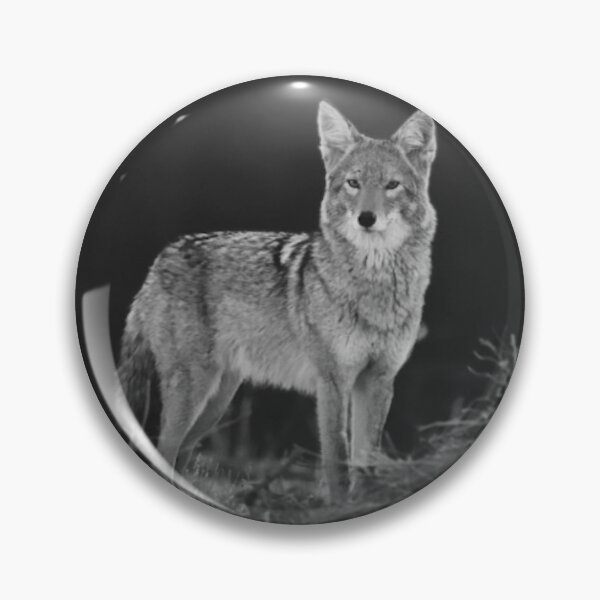 Item preview, Lone Coyote designed and sold by speakdeserttome.