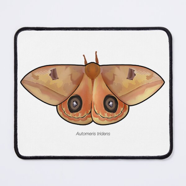 Item preview, Automeris tridens, labeled designed and sold by marinemolecules.