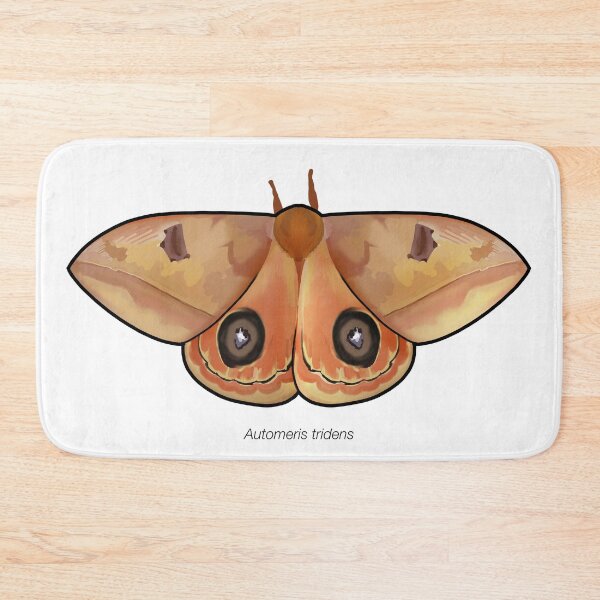 Item preview, Automeris tridens, labeled designed and sold by marinemolecules.