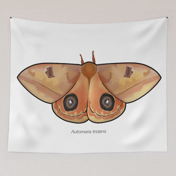 Item preview, Automeris tridens, labeled designed and sold by marinemolecules.