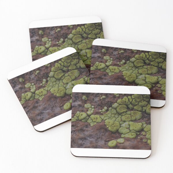 Item preview, Lichen designed and sold by speakdeserttome.