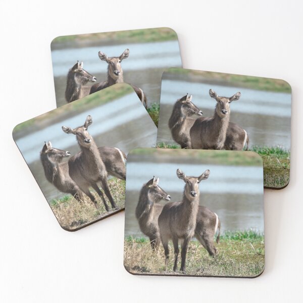 Item preview, By the Water’s Edge – Graceful Waterbucks of the Savanna designed and sold by DavideAntoniani.