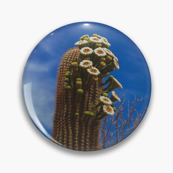 Item preview, Standalone Sonoran Beauty designed and sold by speakdeserttome.