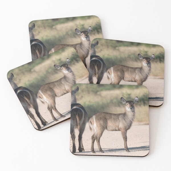 Item preview, Curious Calf – Young Waterbuck by Its Mother on the Safari Path designed and sold by DavideAntoniani.
