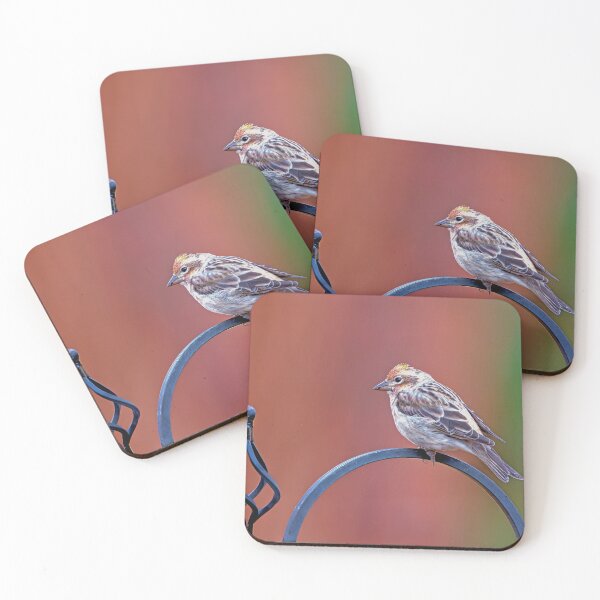 Item preview, House Finch perched on wrought iron stand designed and sold by lisavonbiela.