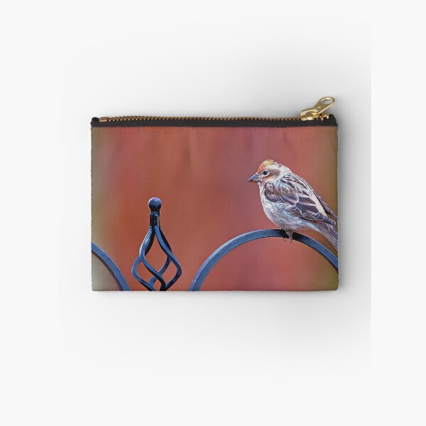 Item preview, House Finch perched on wrought iron stand designed and sold by lisavonbiela.