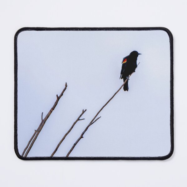 Item preview, Red Winged Blackbird perched high in the sky designed and sold by lisavonbiela.